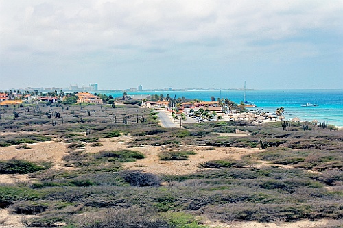 cruise14 (261)